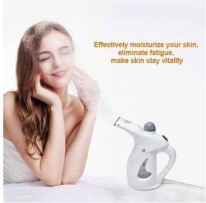 2 in 1 Electric Portable Handheld Steamer for Facial and Garments